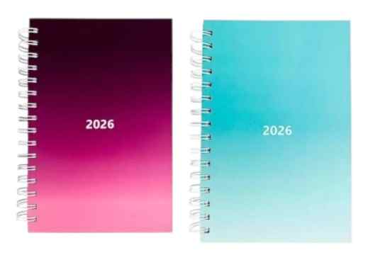 AGENDA 2026 AURORA KZ1154